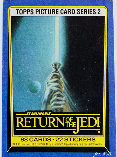 Fear is the path to the dark side. Fear leads to anger. Anger leads to hate. Hate leads to suffering.